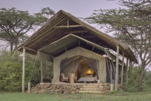 Naboisho Camp Interior Tent Naboisho Camp interior tent