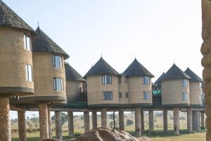 Sarova-Salt-Lick-Game-Lodge-Outside Sarova-Salt-Lick-Game-Lodge-outside