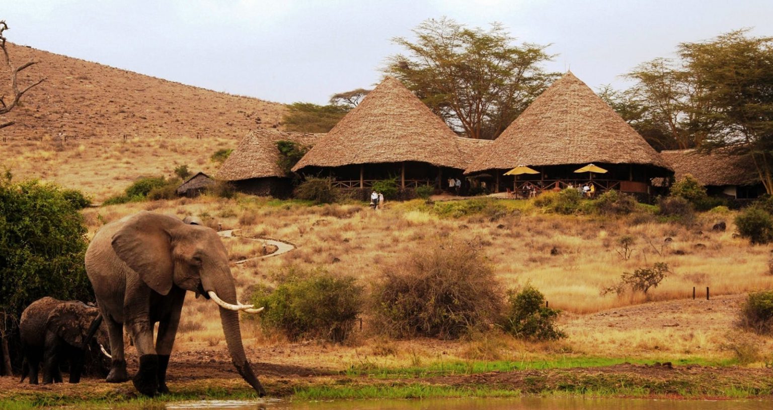 Best Safari Lodges For Couples In Kenya: 7 Breathtaking Escapes 11 best safari lodges for couples in Kenya
