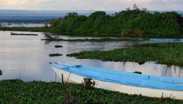 Fishing boats at Lake Naivasha