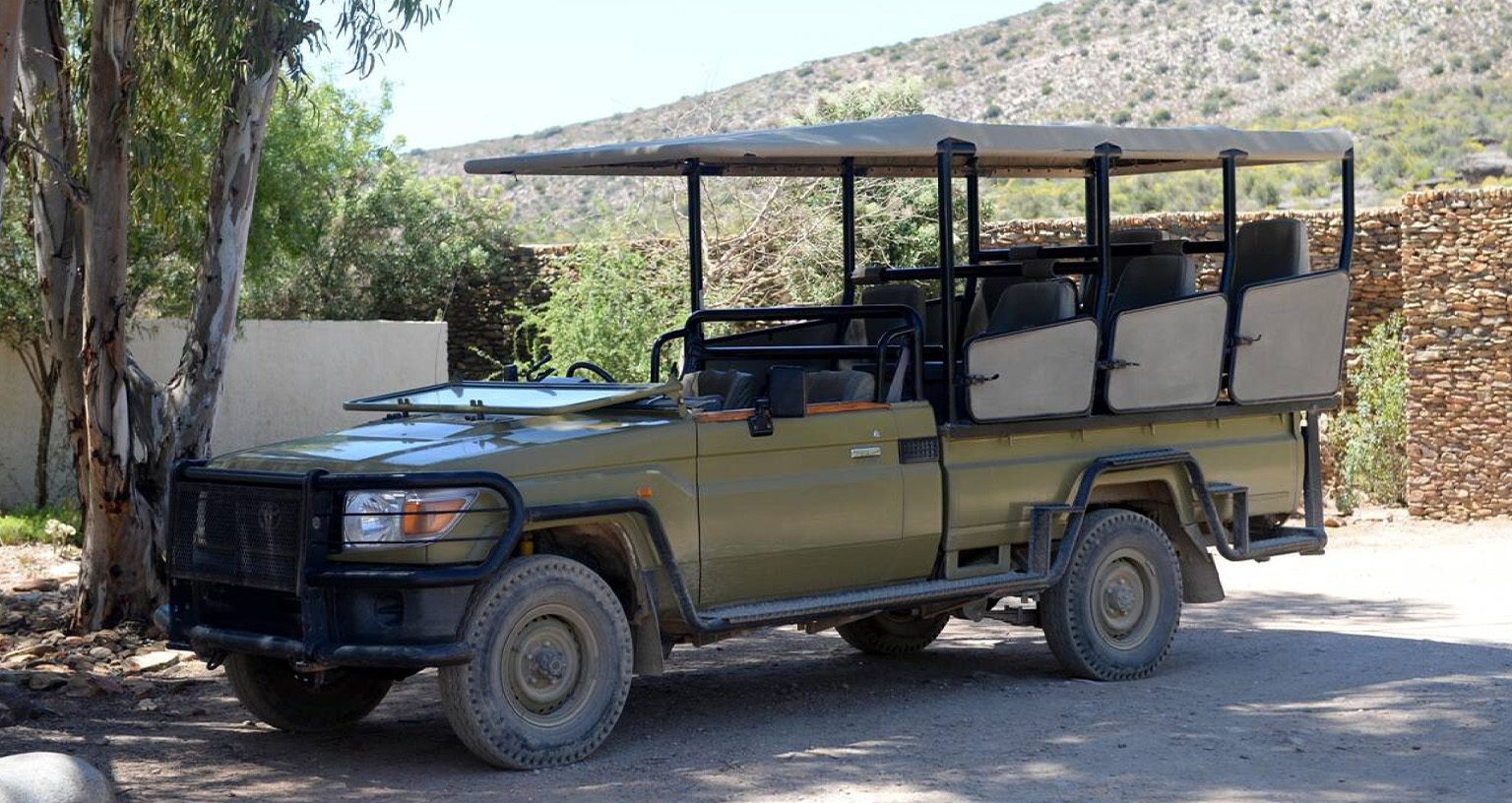 Luxury African Safari Scams: How To Protect Your 2026 Investment? 5 Luxury African Safari Scams
