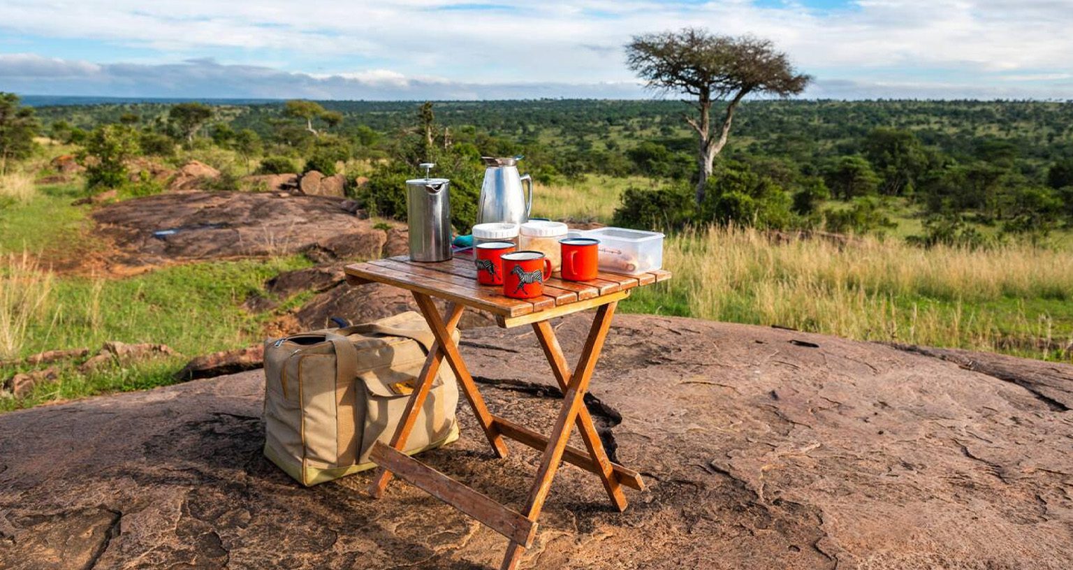 Luxury African Safari Scams: How To Protect Your 2026 Investment? 4 Luxury African Safari Scams