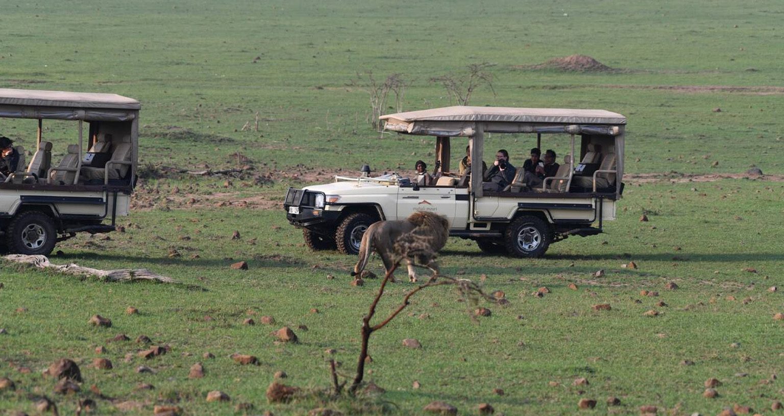 The $20,000 Safari: What Ultra-Luxury Safari Looks Like In Kenya 3 ultra-luxury safari