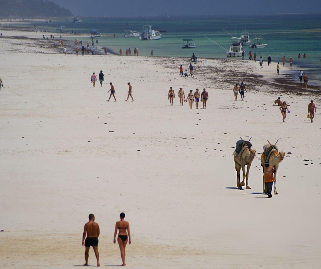 Best Afcon 2027 Match-Break Safaris Packages In Kenya: Our Top 5 Pick 10 AFCON 2027 Match-Break Safaris